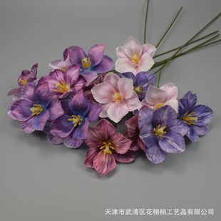 3��������ٺϷ��滨3D��ӡ��c���Ҿ��b�ˇ�����쾰���S���l