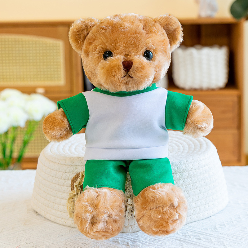 Oso personalizado logotipo impresa emblema de la escuela Nombre de clase estudiante Teddy Bear Dr. Bear Regalo de apertura