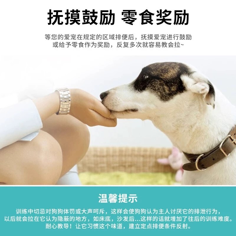 トイレトレーニング、トイレトレーニング、ペットの定点排便誘発剤、犬用トイレ誘発剤|undefined