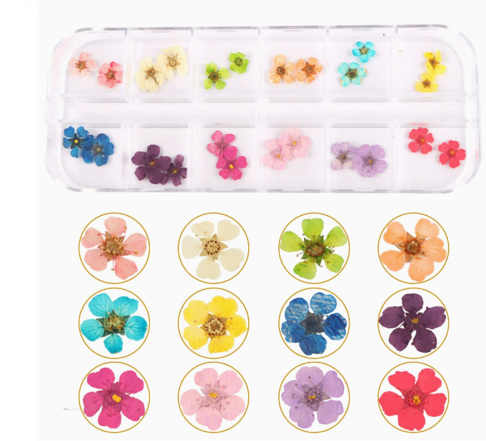 Flores secas preservadas hechas a mano, marco de fotos DIY, decoración mixta, materiales de aromaterapia, flores naturales, ramo de regalo para boda, San Valentín