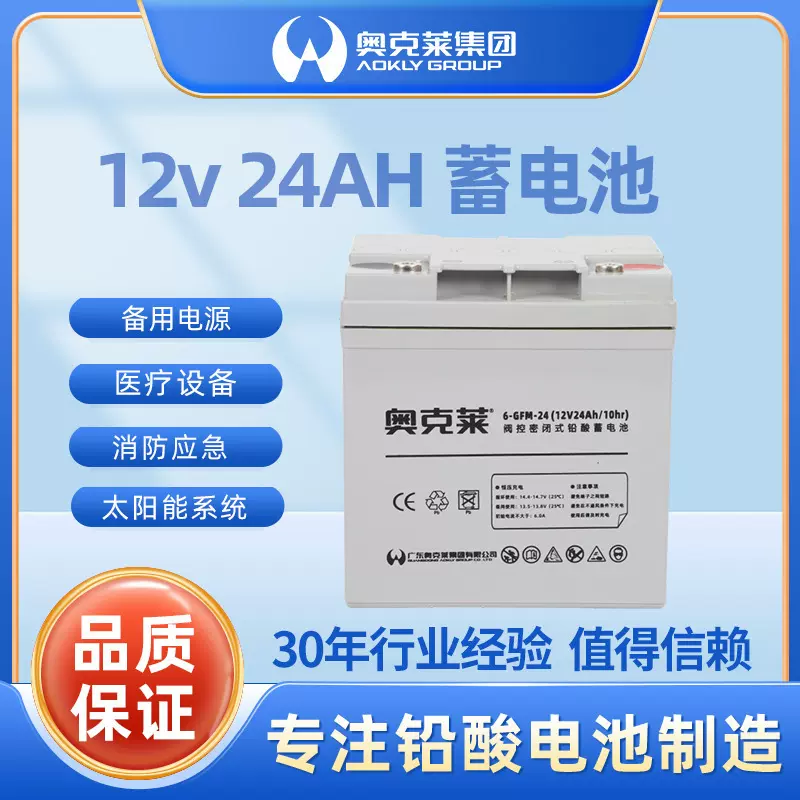 光伏储能蓄电池12-24AH直流屏UPS应急电源12v24ah高容量电瓶
