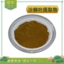 水溶沙棘沙棘叶提取物