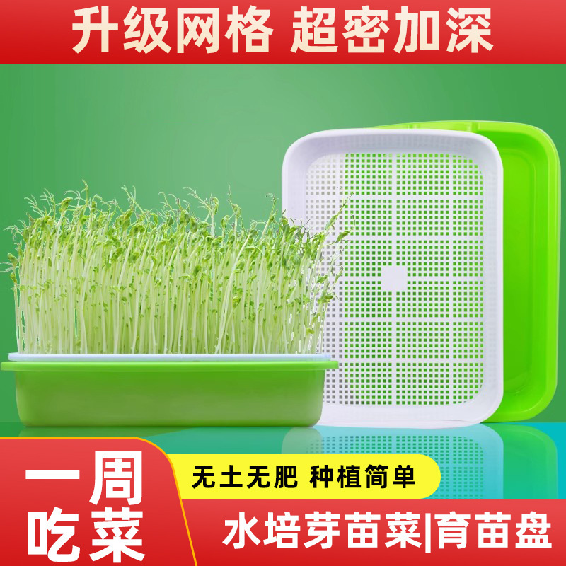 Bean Sprout Germination Pot Hydroponic Vegetable Equipment Pea Seedling Planting Rack Soilless Culture Tray Household Sprout Seedling Tray