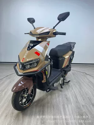 Cross-Border Export Wholesale of Zhenbao's New High-Speed Scooters, Electric Motorcycles, Electric Bikes, and Adult Two-Seater Vehicles (Elektrikli motosikletlər) - 1000w-naked-bike-ckd-parts