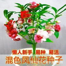 ��ɫ�P�ɻ��N�Ӷ�ɫ��Ⱦָ�׻��N���߲�С�P���ļ�ͥԺ���Ի��N��