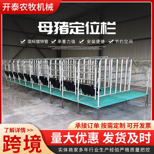 批发母猪定位栏限位栏猪圈栏位猪用复合漏粪板母猪产床保育限位栏-阿里巴巴