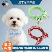 �ļ�؈�乷��������һ�����lС��Ȯ����ѩ�{�𽵜،���ɐۛ�����