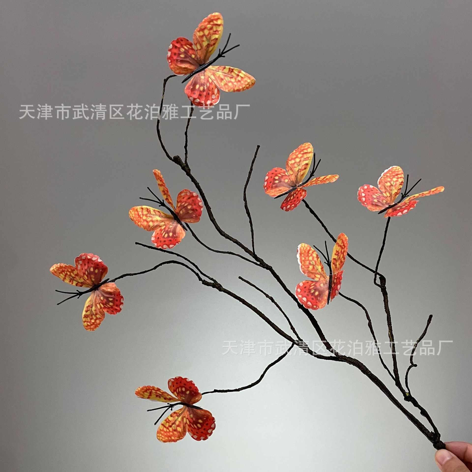 오렌지 소다나비