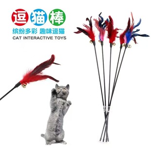 ���l�߲���ë��؈���̗U�L�U��ë��K؈���������ҧ�����������