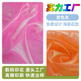现货批发变色龙面料 表演服舞台服饰礼服连衣裙服装闪光布面料