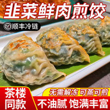定制广式韭菜大煎饺子马蹄鲜肉锅贴玉米饺半成品茶楼同款早餐批发