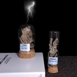 天然稀有闪电熔岩沙漠雷击石岩原石摆件儿童地质科普收藏礼物奇石