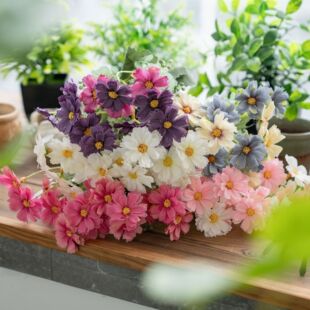 �_���տ羳���滨�S�ҼҾ��b�c������õ�廨���ٻ�INS��ˇƷ