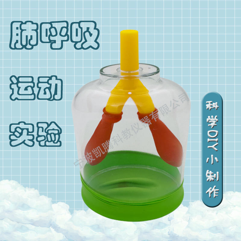 Lung Breathing Model, Muscle Movement Simulation Demonstrator, Lung Work Principle, Atmospheric Pressure Biological Teaching Aids