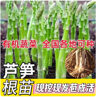 �J�S���J�S�����J�S�߲����ļ��Nֲ�N���̨���ԾGֲ��ͥ�߲���