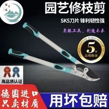 ޘ֦֦ôO仨Ѹ֦sUʡ@ˇ