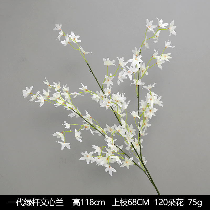 One generation of green rod Wenxinlan