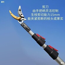 ��֦��ժ��������s�Uժˮ����ժ�߿ռ������޼���֦���ü�����֦