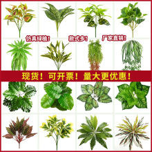 ֲGֲСͼٻ[O쾰bG}˹ƺ