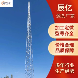 辰亿定制避雷塔单管通讯塔圆钢信号塔美化塔防雷角钢避雷针塔
