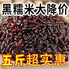 ��ѪŴ�׺�Ŵ��ճŴ���ӌ���Ŵ��������Ŵ�ז|��ᄾ�ѪŴ������