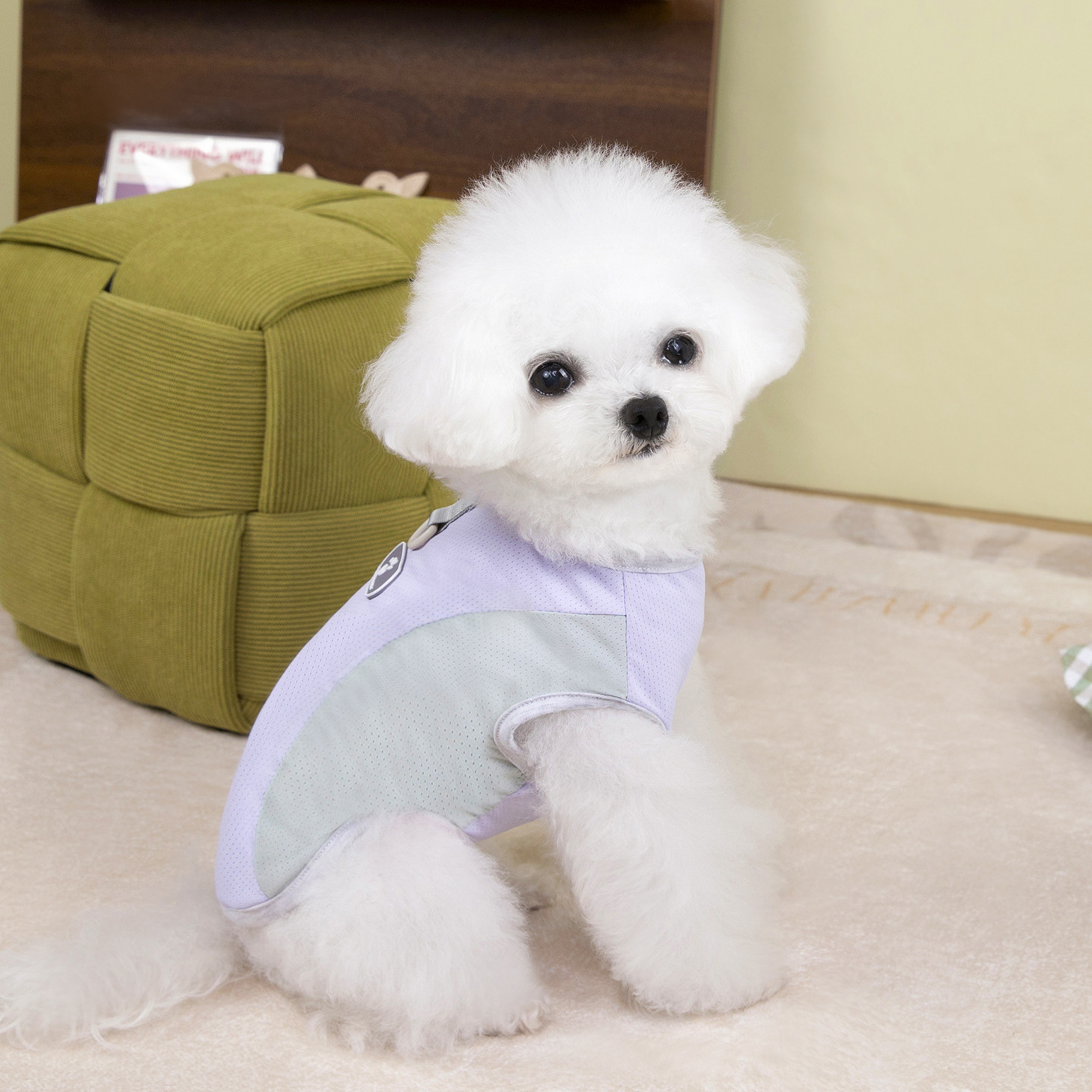 Primavera y verano de perro dos patas de impresión de cuero etiqueta chaleco de malla de hielo para perros pequeños Teddy fuera de la ropa de mascotas de protección solar