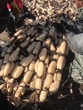 ʳˮɏźN ź ^p ɻ ߮a\ˮɏźNźź