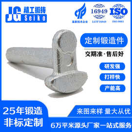 厂家供应精密铸钢件锻造件覆膜砂铸造件碳钢件灰铁毛坯加工件铸铁
