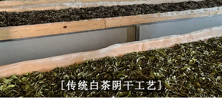 三款白茶详情_13.gif