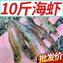 鲜活冷冻青岛小海虾新鲜小虾批发非大虾海鲜水产整箱包装批发