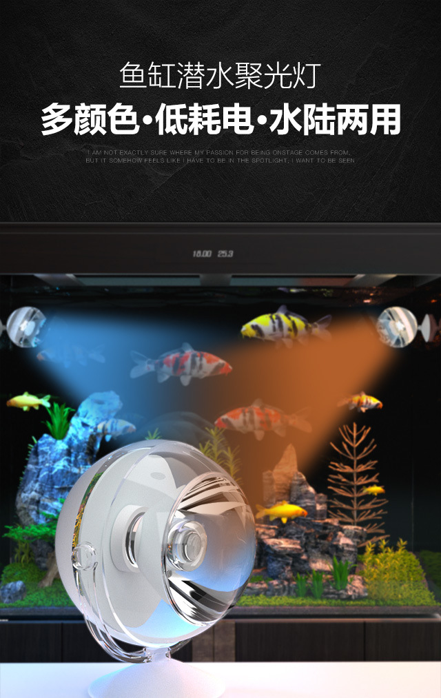 b34f9e63-e220-47e8-83cd-128aa65fafa5.jpe