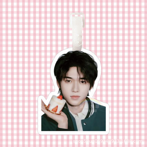 TNT Song Yaxuan Backpack Accessory Luggage Tag Travel Suitcase Boarding Pass Charm Big-Headed Celebrity Backpack Pendant Liu Yaowen