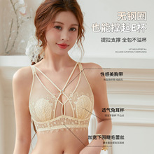 �Ըм����ٽz����Ů�����@С�@����mm�������ո����{����������