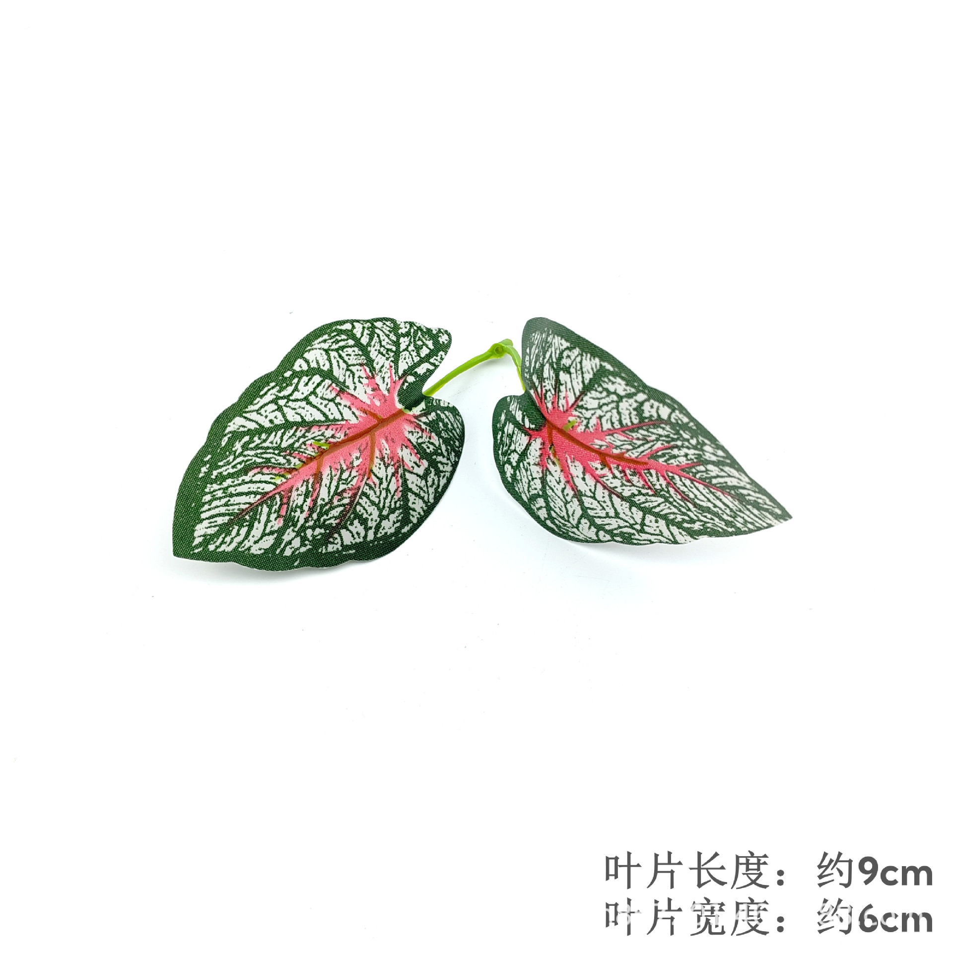 Taro leaves