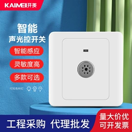 墙壁插座;墙壁开关;配电箱