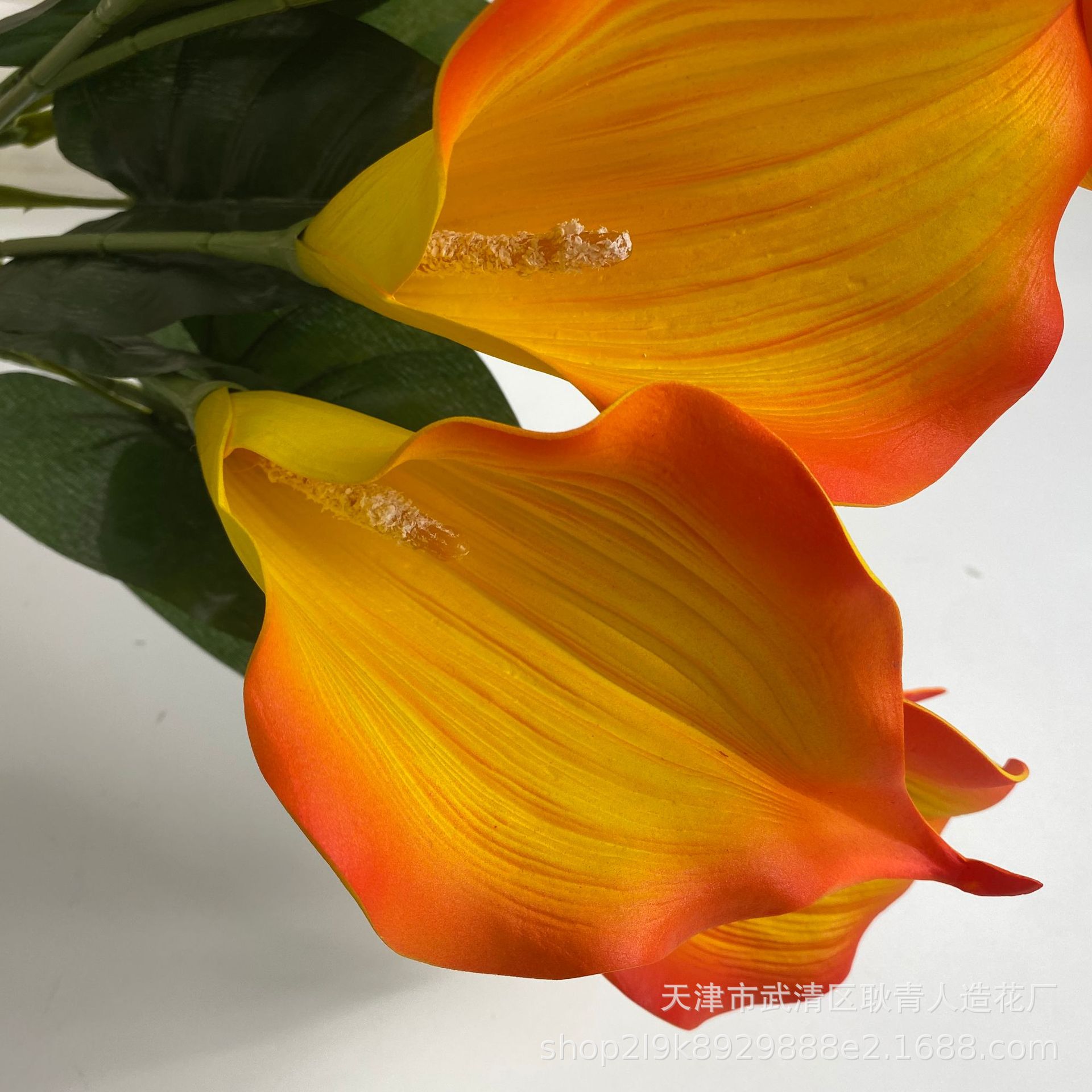 4795131eab3e1c126ed5da1899fd9a