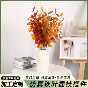 �羳������ɫ���~��֦���s�L�Ҿ�ܛ�b�[���ж��������b�ˇ�F؛