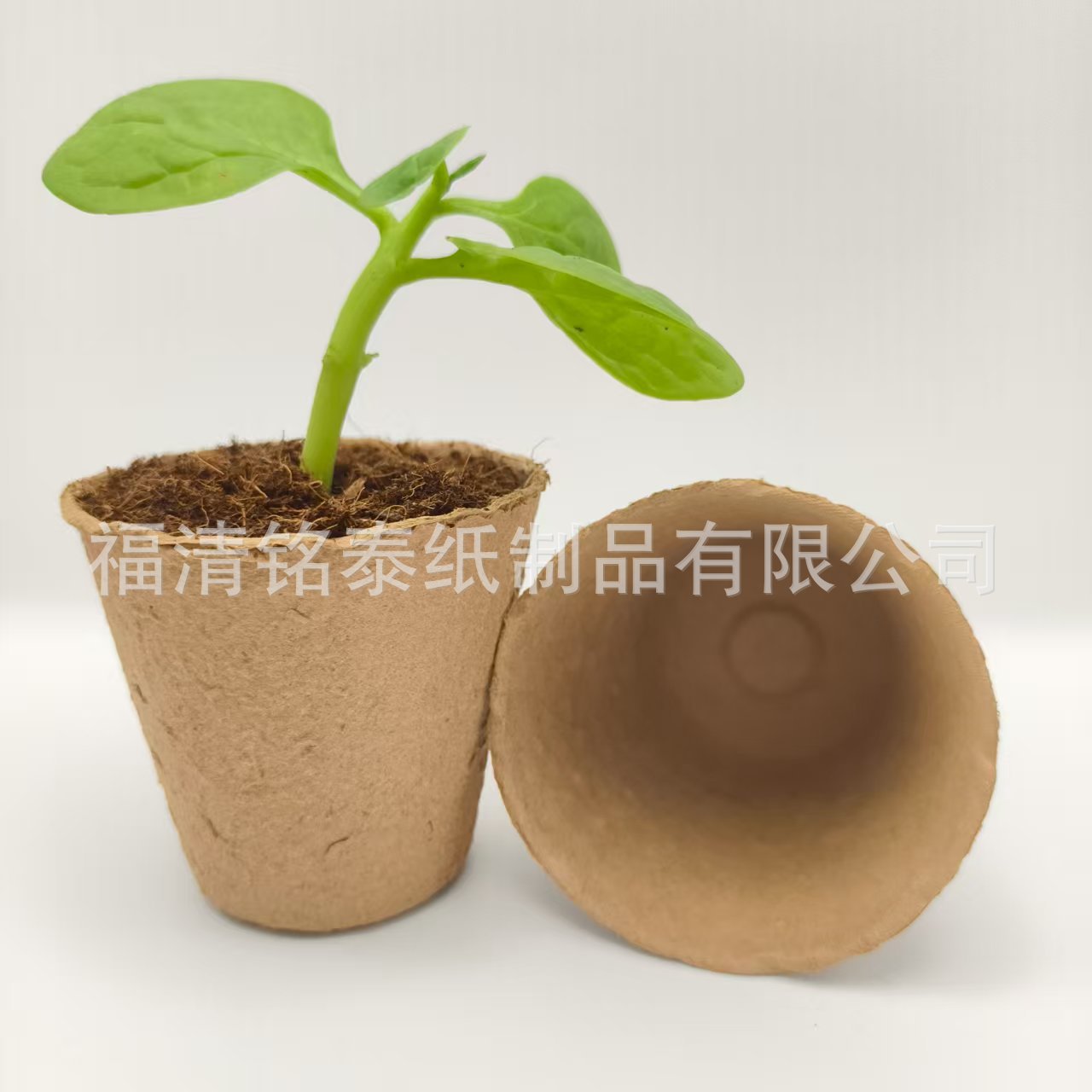 微信图片_20250912212957_68_36