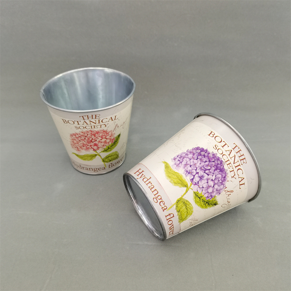 QQ图片20231116135947