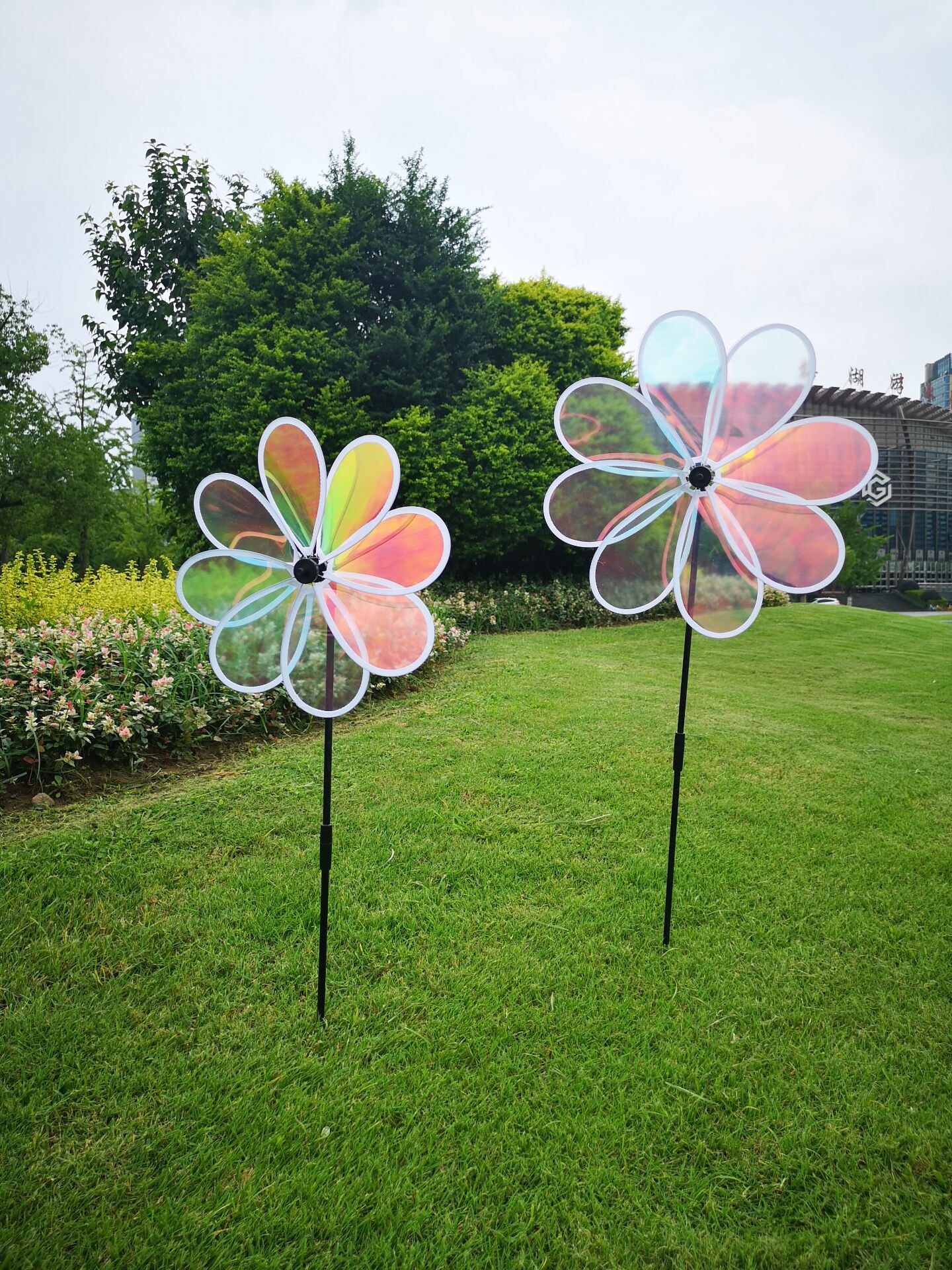 QQ图片20210730102517