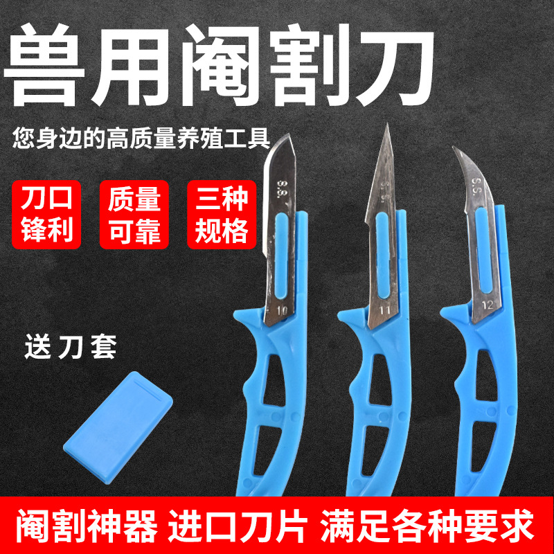 Cuchillo eunuco veterinario cuchillo de castracion tipo pluma bisturí mini cuchillo eunuco herramienta eunuco cuchillo de tapping de cerdo image 3
