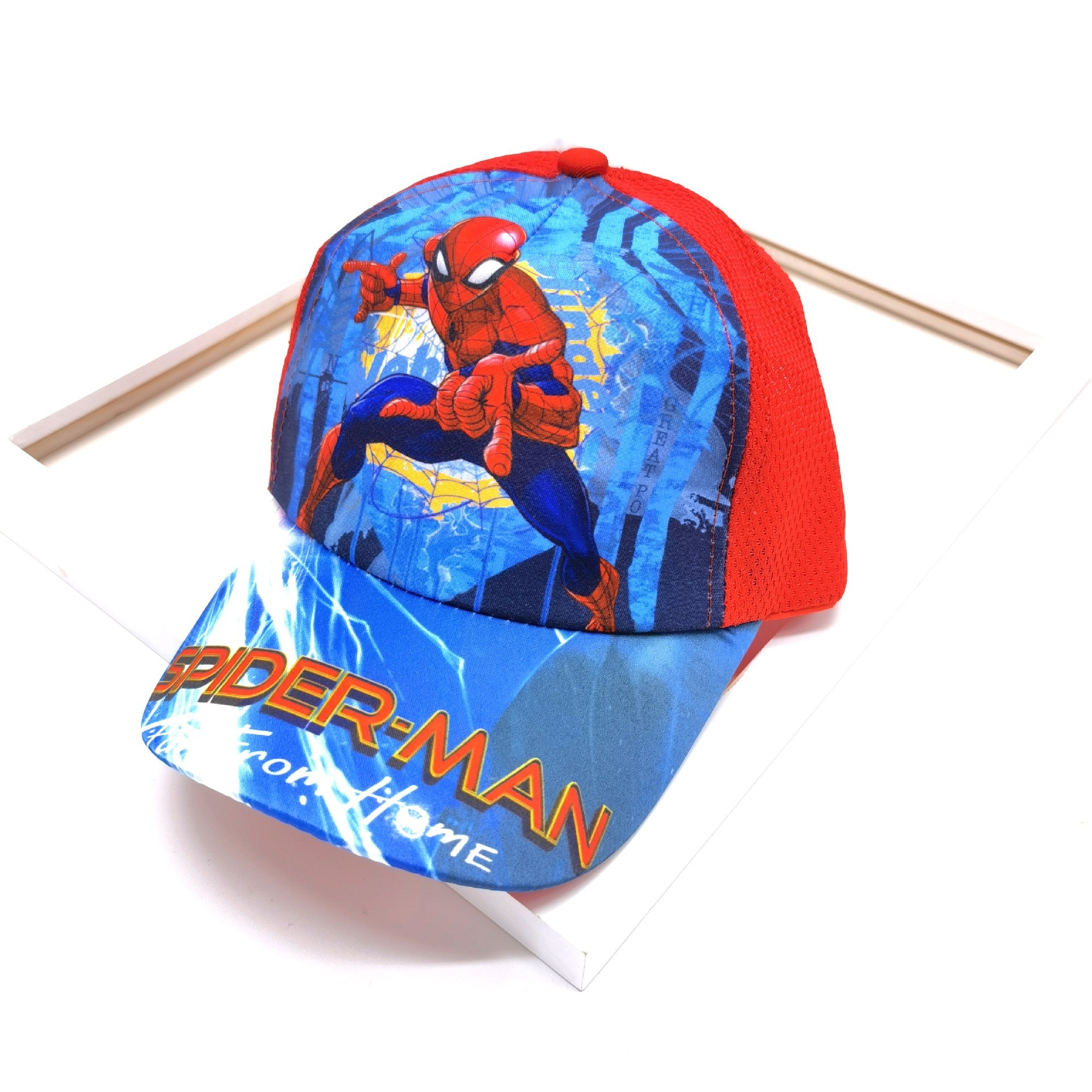 Spider 11