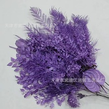 ��ɫϵ�����Ϸ��滨��Y�õ�픻����b廨�ҾӾƵ���������ٻ�