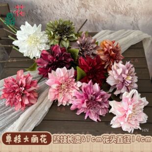 ���潁���������عϻ� �߼��L֦�����տ羳���l ��c�����҃Ȕ[��