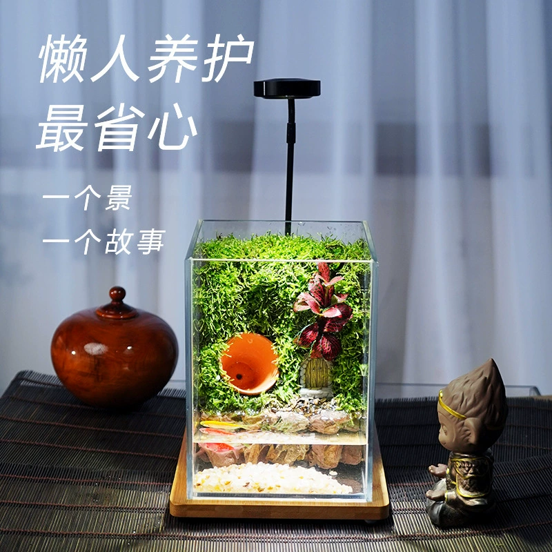 [Ультра белый резервуар] креативный аквариум, растение, газон, мх, микроландшафт, настольные ландшафтные украшения, зеленые растения, подарок на день рождения