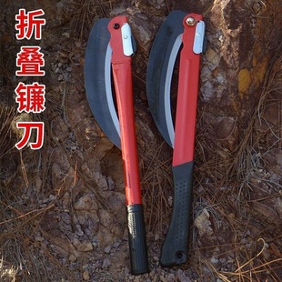 ��ӯ�i���ĥ��ݵ���yʽ砵��ۯB砵���ݵ�砵����