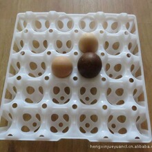 供应龙口恒信20枚塑料鸭蛋托，鹅蛋托