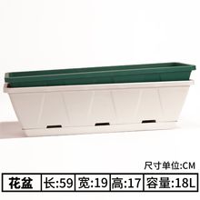 阳台种菜盆家庭霍伦种菜神器长方形塑料长条花盆槽盆栽蔬菜种植盆