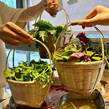 ����ɽ��������깱�˱���Ҷ����ƴ�̲;����������������װ����