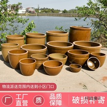 大水缸家用储水老式养鱼庭院造景花盆室外陶瓷酱缸发酵腌菜麦太保